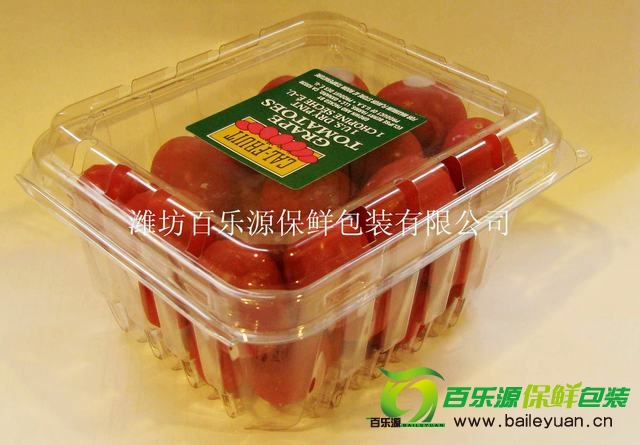 PET box for tomato 3.jpg